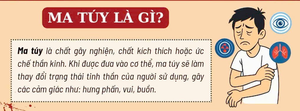 Một số thông tin cơ bản về ma túy