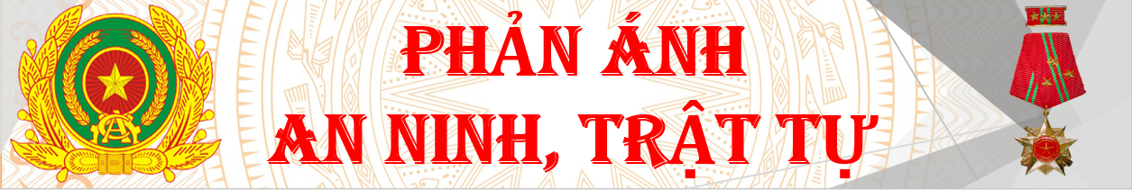 Dịch vụ công